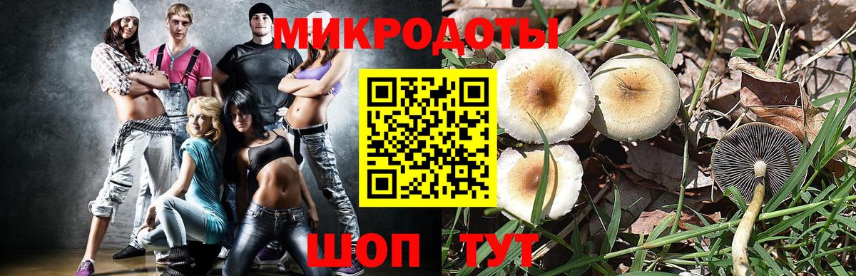 Галлюциногенные грибы мицелий  Вход с VPN  Орёл 